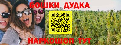 ешки Дубна
