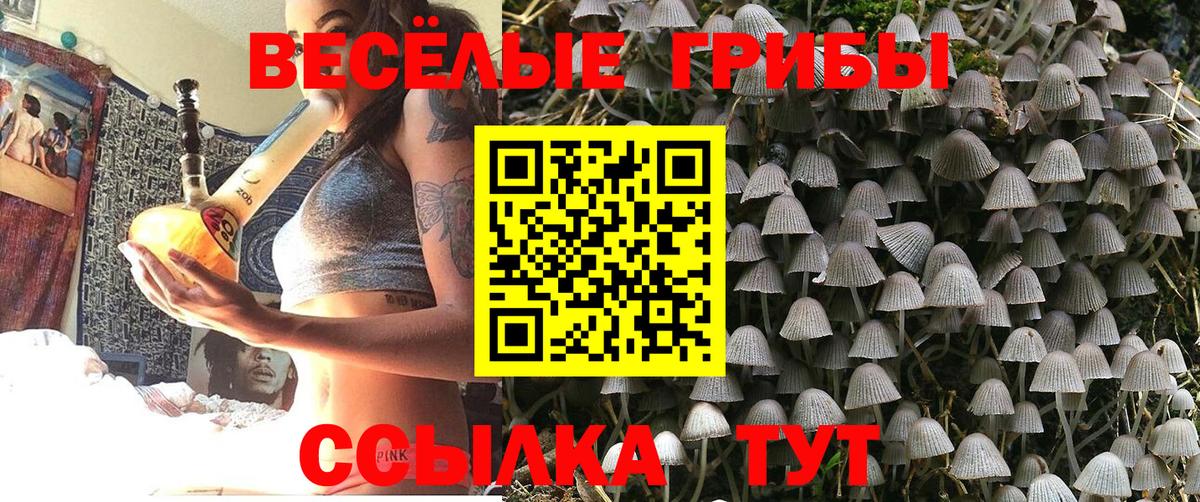 Псилоцибиновые грибы ЛСД  Вход с VPN  Лабытнанги 